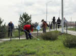 В рамках Всероссийской недели субботников «Мы за чистоту» жители поселка Новосадовый активно включились в экологическую акцию.