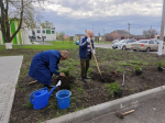 В рамках Всероссийской недели субботников «Мы за чистоту» жители поселка Новосадовый активно включились в экологическую акцию.