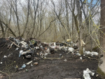 Ракитянский округ присоединился к областному экологическому флешмобу #экочеллендж31.