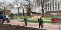 Озеленители приступили к созданию большого розария на Народном бульваре в Белгороде - Belnovosti.Ru