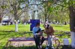 В Белгороде прошла выставка-раздача бездомных животных «Пойдём домой»