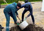 Всероссийский субботник