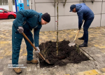 Всероссийский субботник