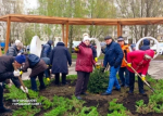 Всероссийский субботник