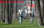 Сегодня в Белгороде проведут обработку общественных пространств для защиты от клещей