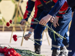Коллективы 73 организаций поучаствуют в акции «Волна Памяти» в Белгороде - Изображение 2