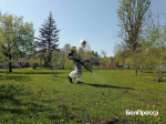 В Белгородской области зафиксировали 5 случаев заболевания клещевым боррелиозом - Изображение