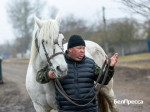 Любовь навсегда. Почему житель Ракитянского округа так привязан к орловским рысакам - Изображение