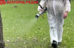 В Белгороде продолжают обрабатывать территории от клещей