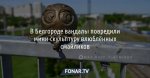 В Белгороде продолжают покушаться на мини-скульптуры смайликов