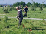 Наведение санитарного порядка на территории Белгородского муниципального округа не прекращается.