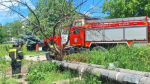 Пожарные спасли двух котят из канализационного люка в Строителе