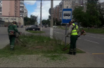 В Белгороде продолжается сезонный покос травы