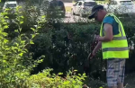 В Белгороде продолжается уборка и благоустройство