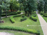 В саду Философов парка Ленина в Белгороде ведут формовочную обрезку кустарников-лабиринтов - Изображение 1