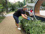 В саду Философов парка Ленина в Белгороде ведут формовочную обрезку кустарников-лабиринтов - Изображение 2