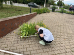 На территории Стрелецкого сельского поселения прошёл субботник памяти.