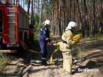 В Белгороде провели учения по ликвидации лесного пожара - Изображение 1