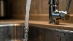 voda1008В Белгороде на Харгоре на две недели отключат горячую воду