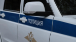 Белгородские полицейские проведут проверку публикаций о жестоком обращении с животными