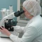 Специалистами Белгородской испытательной лаборатории у свиней выявлен возбудитель аскаридоза