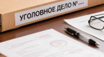 Белгородка пойдёт под суд за трудоустройство фиктивных сотрудников