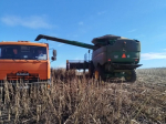 В Ракитянском округе продолжается уборочная кампания.