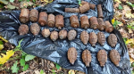 В Алексеевском округе обнаружили боеприпасы времён Великой Отечественной войны