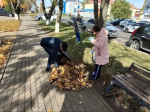 Жители Ракитянского округа вышли на субботники.