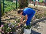 Жители Ракитянского округа вышли на субботники.