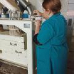 В местах хранения подкарантинной продукции в Липецкой области вредителей не выявлено