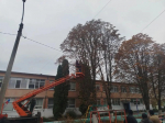 В Белгородском округе продолжаются мероприятия по благоустройству.
