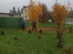 В Белгородском округе продолжаются мероприятия по благоустройству.